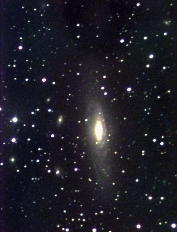 NGC7331.jpg 